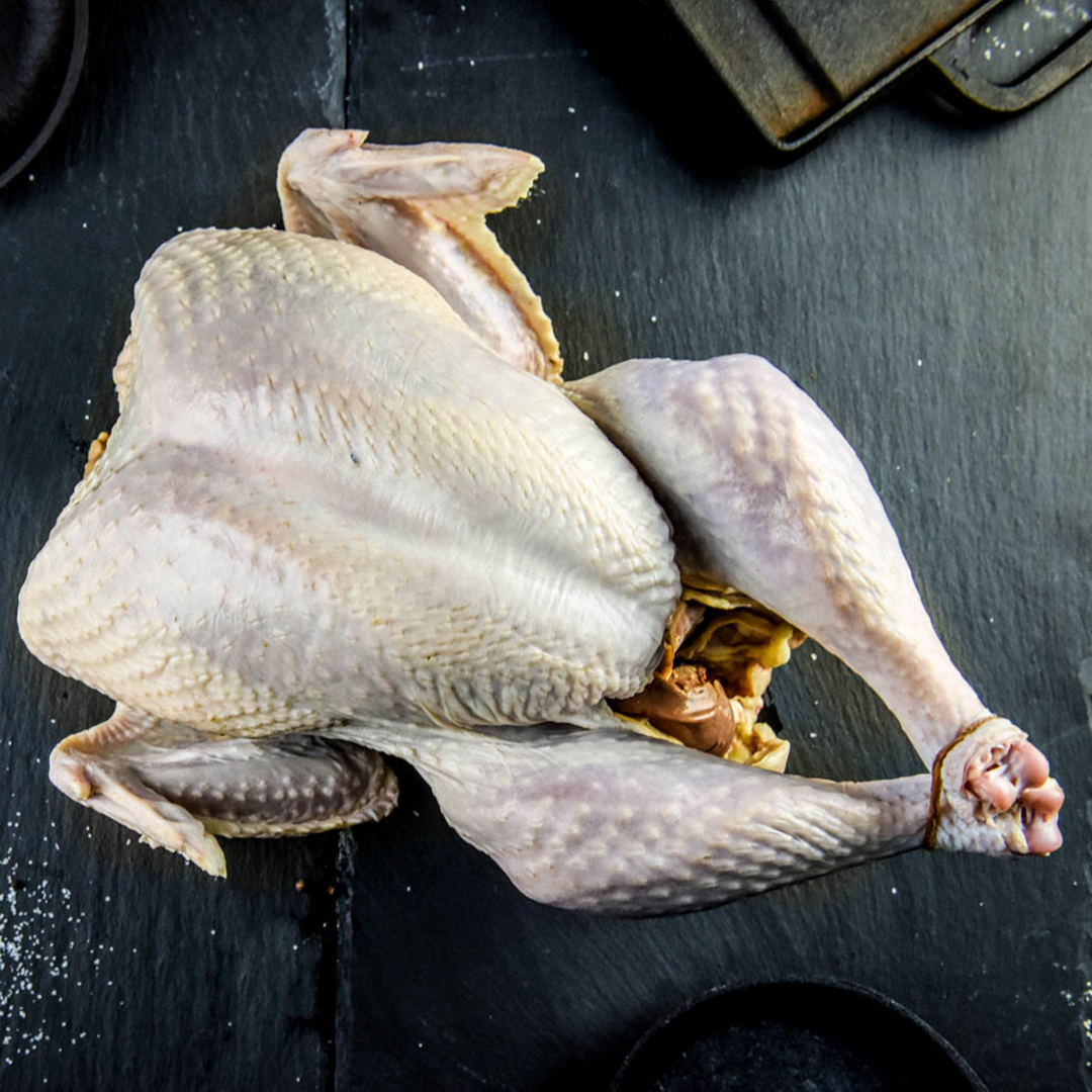 Pastured Turkey