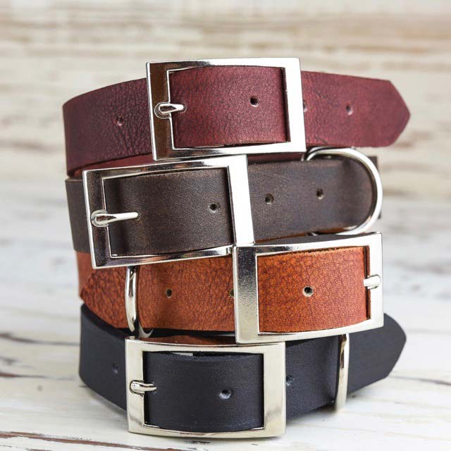 Pet Accessories