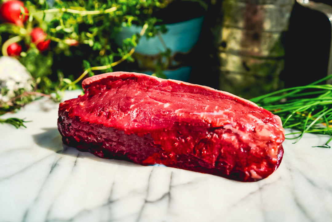 The Carnivore Bundle