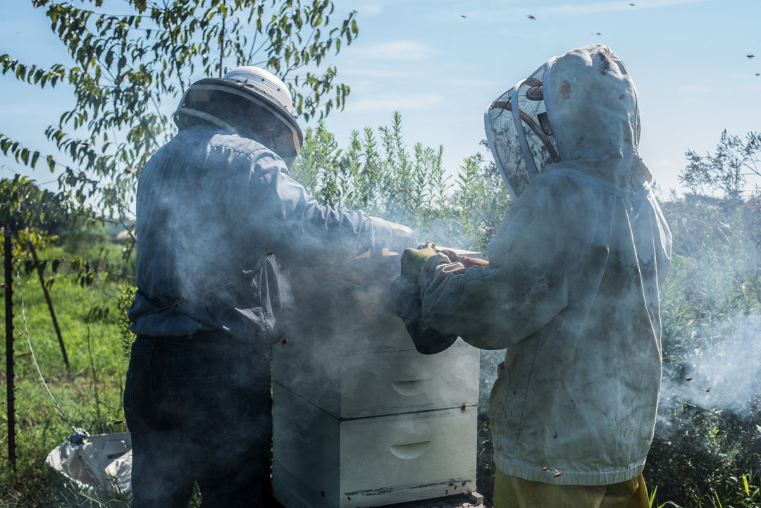 Beekeeping One-on-One