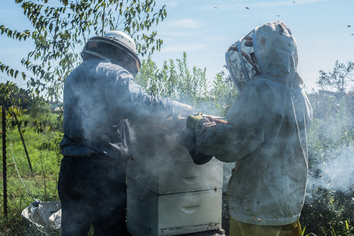 Beekeeping One-on-One