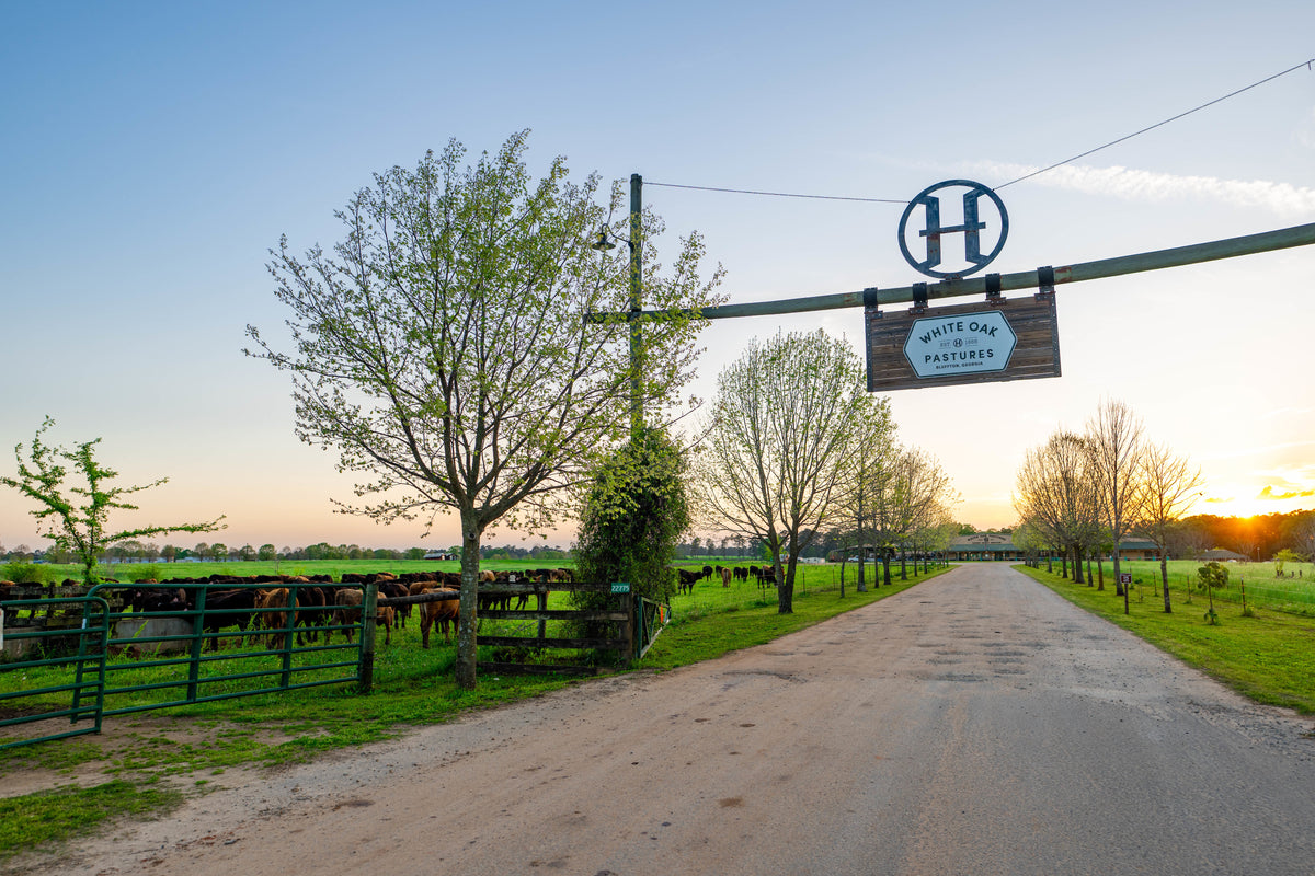 David_Carr_DSC_8129_cattle_processing_plant.jpg__PID:5da098d4-d57b-4472-8870-9999514d02a6
