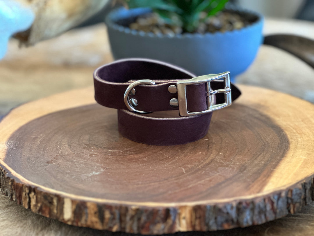 Grassfed Leather Dog Collar - XL