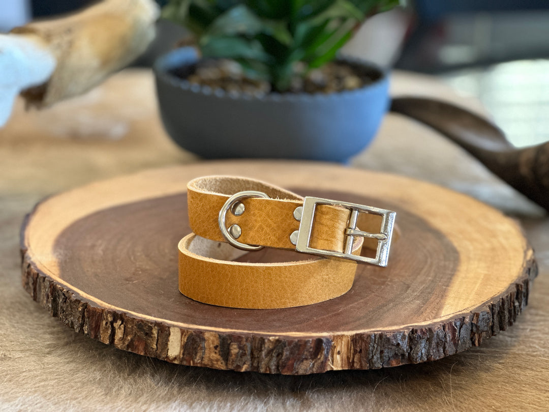 Grassfed Leather Dog Collar - XL