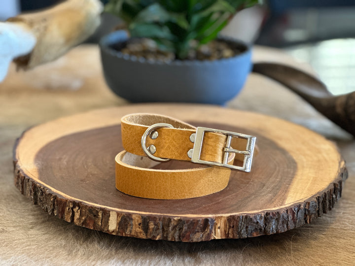 Grassfed Leather Dog Collar - XL