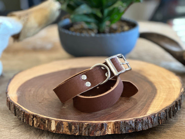 Grassfed Leather Dog Collar - XL