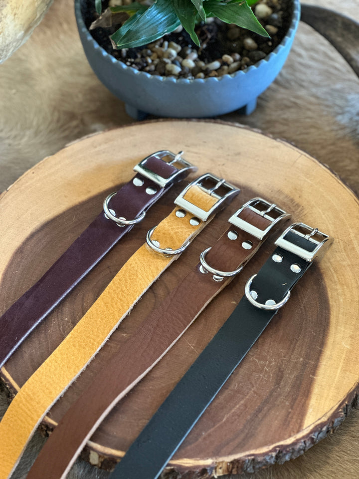 Grassfed Leather Dog Collar - XL