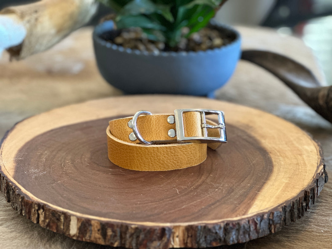 Grassfed Leather Dog Collar - Large