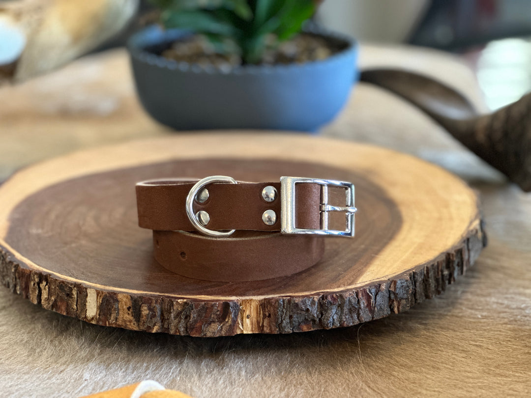 Grassfed Leather Dog Collar - Large