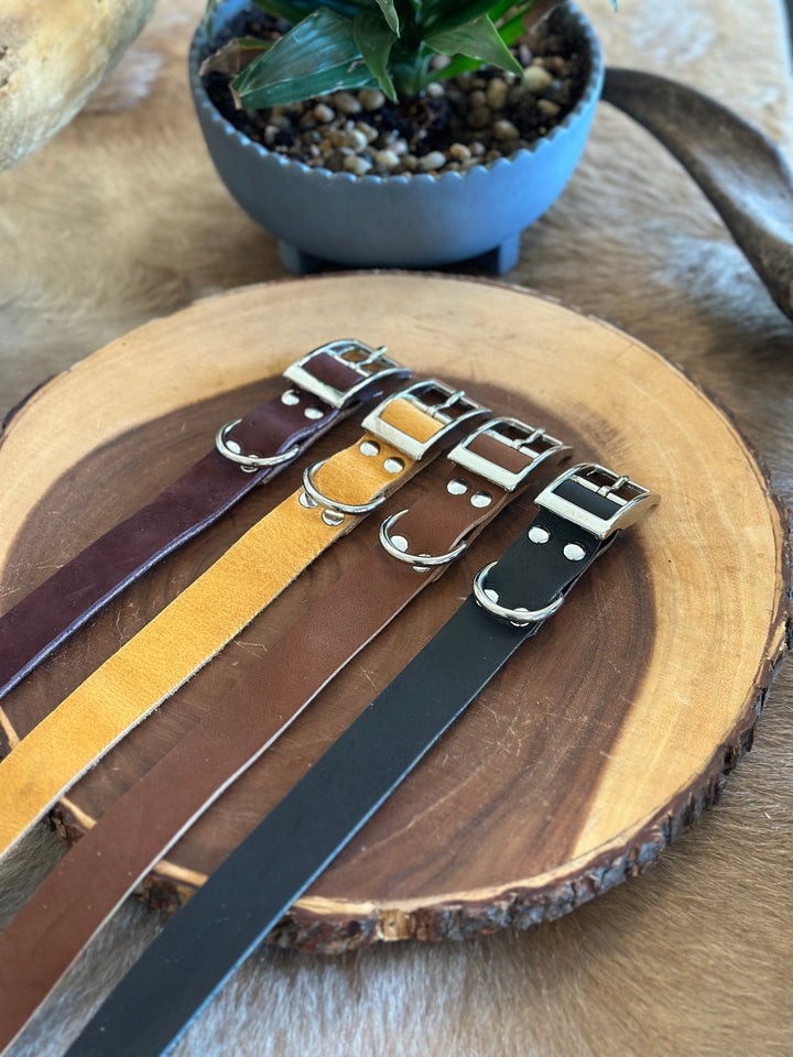 Grassfed Leather Dog Collar - Medium