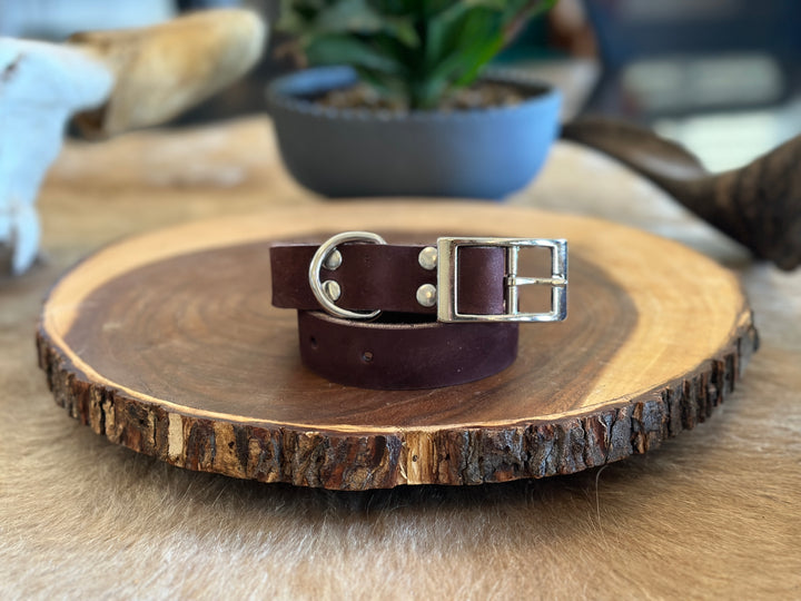 Grassfed Leather Dog Collar - Medium