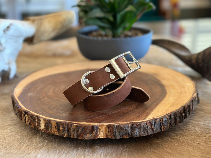 Grassfed Leather Dog Collar - Medium