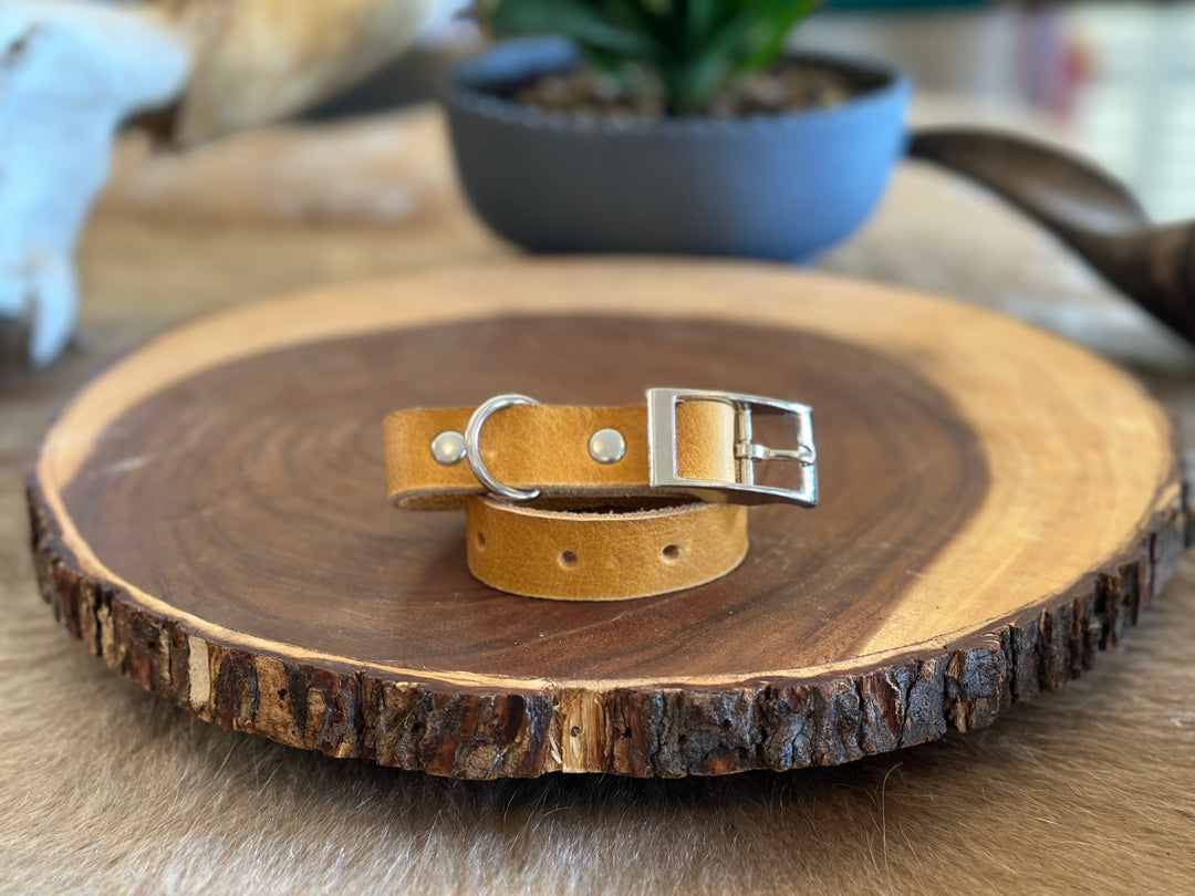 Grassfed Leather Dog Collar - Small