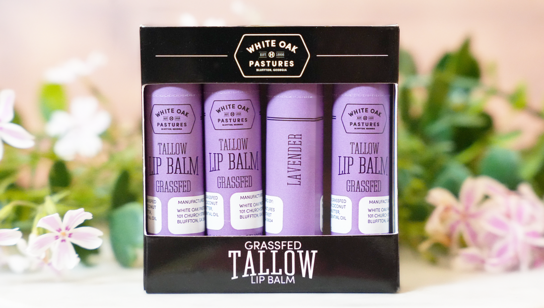 Tallow Lip Balm 4pk