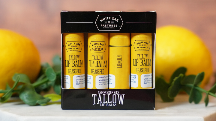 Tallow Lip Balm 4pk