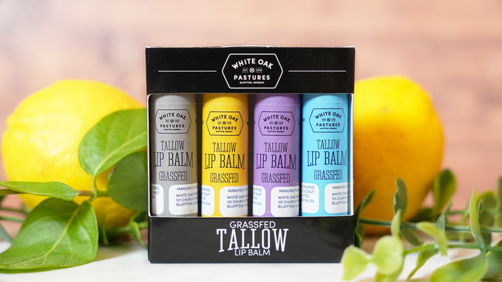 Tallow Lip Balm 4pk