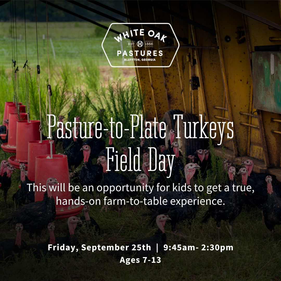 Pasture-to-Plate Turkeys Field Day