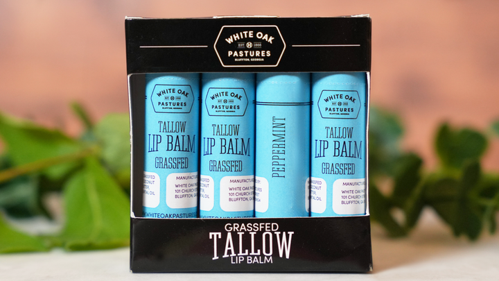 Tallow Lip Balm 4pk