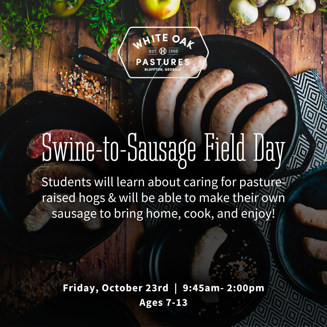 Swine-to-Sausage Field Day