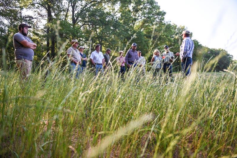 White Oak Pastures farm tour in the fields