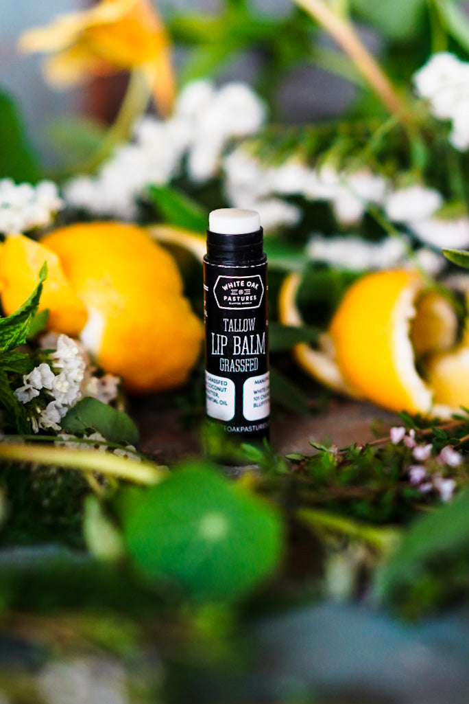 Tallow Lip Balm - Tube