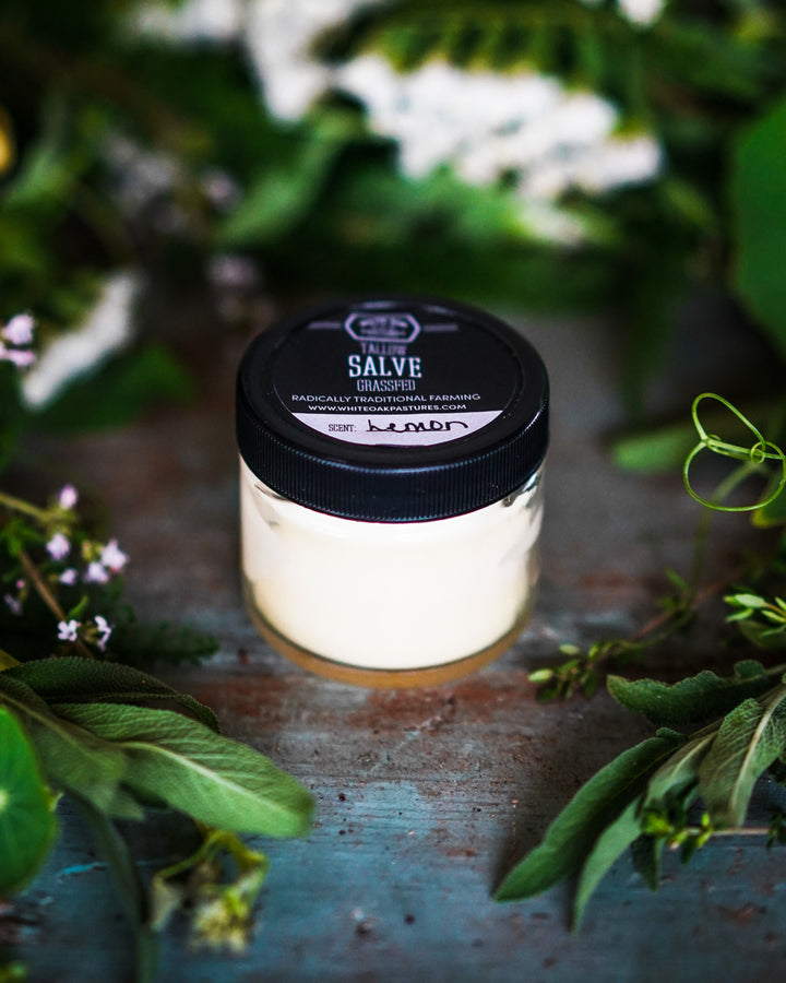 Tallow Salve