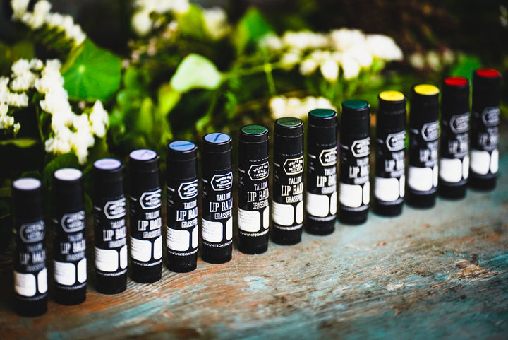 Tallow Lip Balm - Tube
